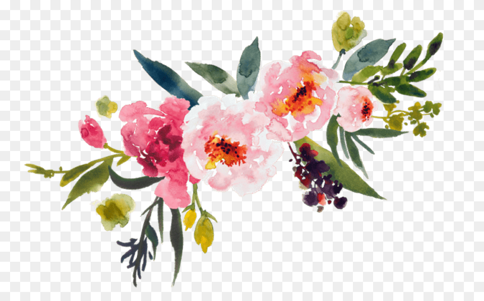 Watercolor Bouquet, Flower, Geranium, Plant, Petal Free Png Download
