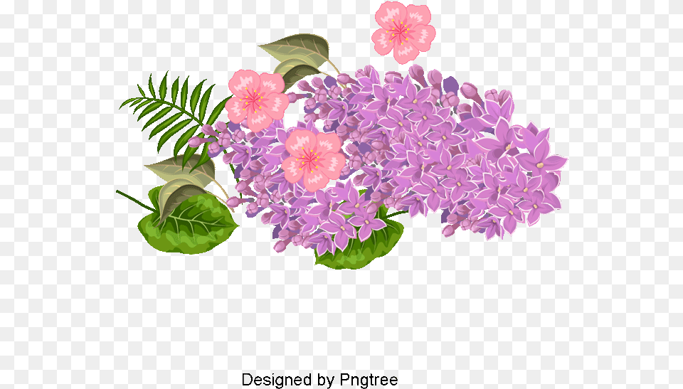 Watercolor Bouquet Lilac, Flower, Geranium, Plant, Flower Arrangement Free Png