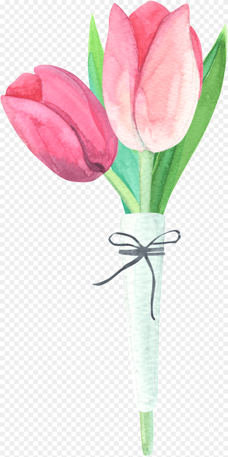 Watercolor Bouquet Material Tulip, Flower, Plant, Petal, Flower Bouquet Free Transparent Png