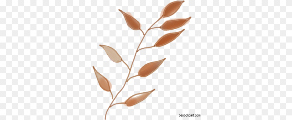 Watercolor Branch In Brown Color Watercolor Painting, Flax, Flower, Plant, Grass Png Image