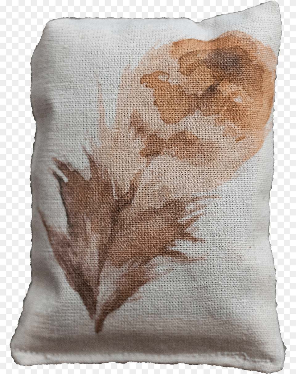 Watercolor Brown Feather Cushion, Home Decor, Pillow, Baby, Person Free Transparent Png