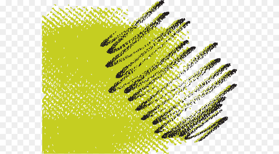 Watercolor Brush Strokes, Green, Fern, Plant, Art Free Png Download