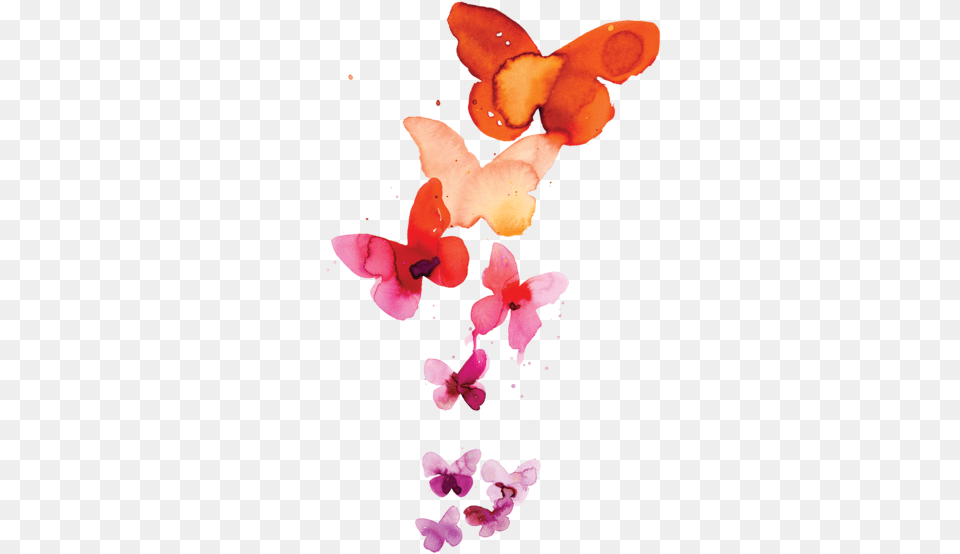 Watercolor Butterfly Art Painting Free Download Watercolor Butterfly Tattoo, Flower, Petal, Plant Png Image