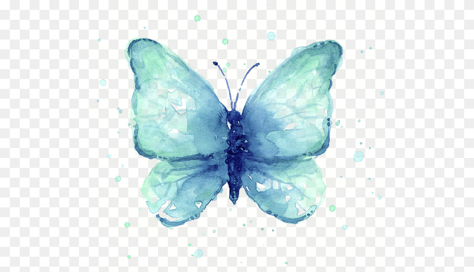 Watercolor Butterfly Black And White Library Blue Butterfly Watercolor, Art, Painting, Animal, Reptile Png Image