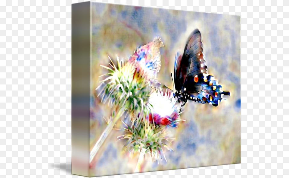 Watercolor Butterfly By Philosophizer X Papilio, Flower, Plant, Pollen, Thistle Free Transparent Png