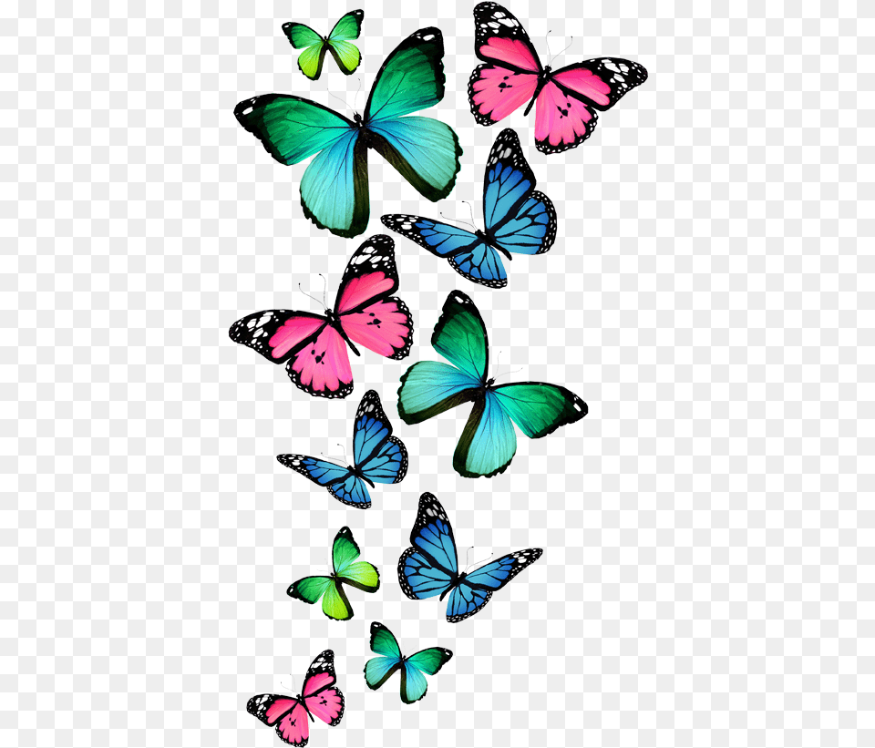 Watercolor Butterfly Clipart Background, Plant, Animal, Insect, Invertebrate Free Transparent Png