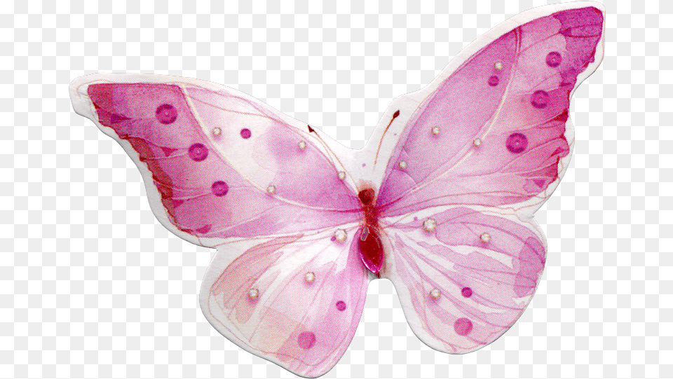 Watercolor Butterfly Download Pink Watercolor Butterfly, Flower, Petal, Plant, Diaper Free Png