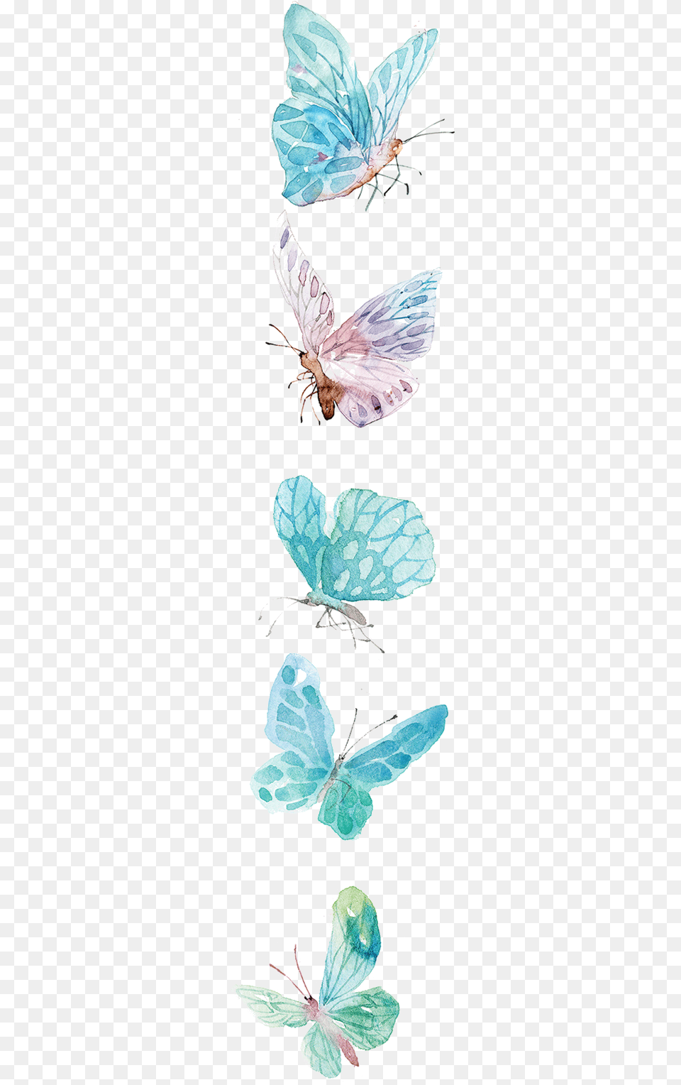 Watercolor Butterfly Icon, Animal, Insect, Invertebrate Free Transparent Png