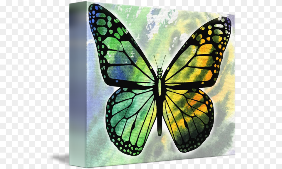 Watercolor Butterfly In Green And Yellow By Irina Sztukowski Butterfly Painting Green, Art, Modern Art, Animal, Insect Free Png