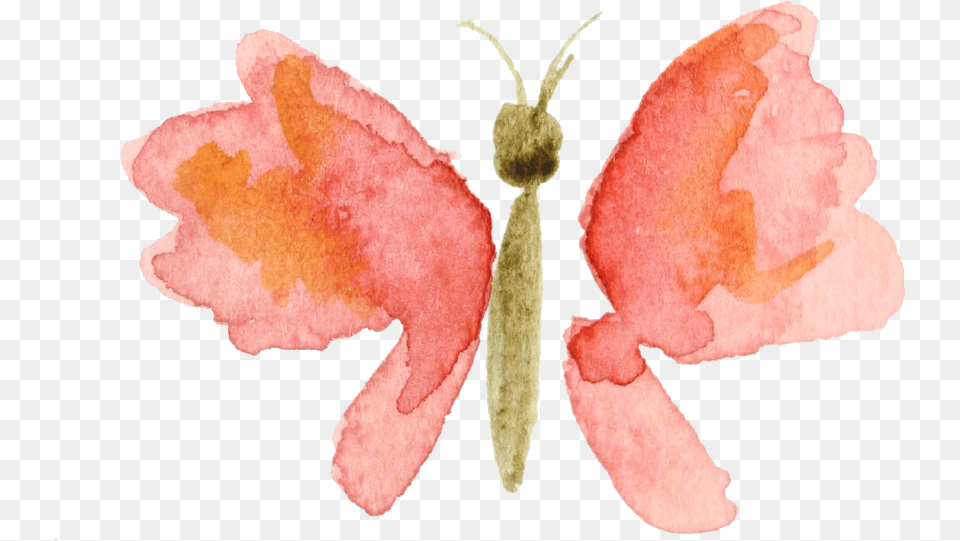Watercolor Butterfly Painting, Flower, Petal, Plant, Rose Free Transparent Png