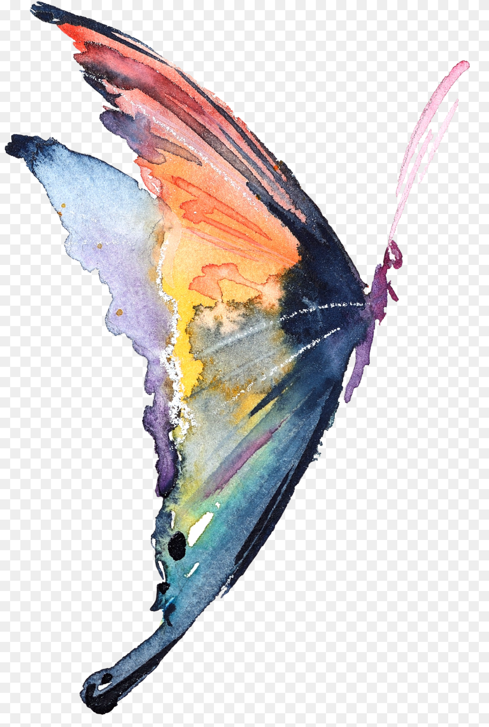 Watercolor Butterfly Watercolour Butterfly Illustration, Accessories Png Image