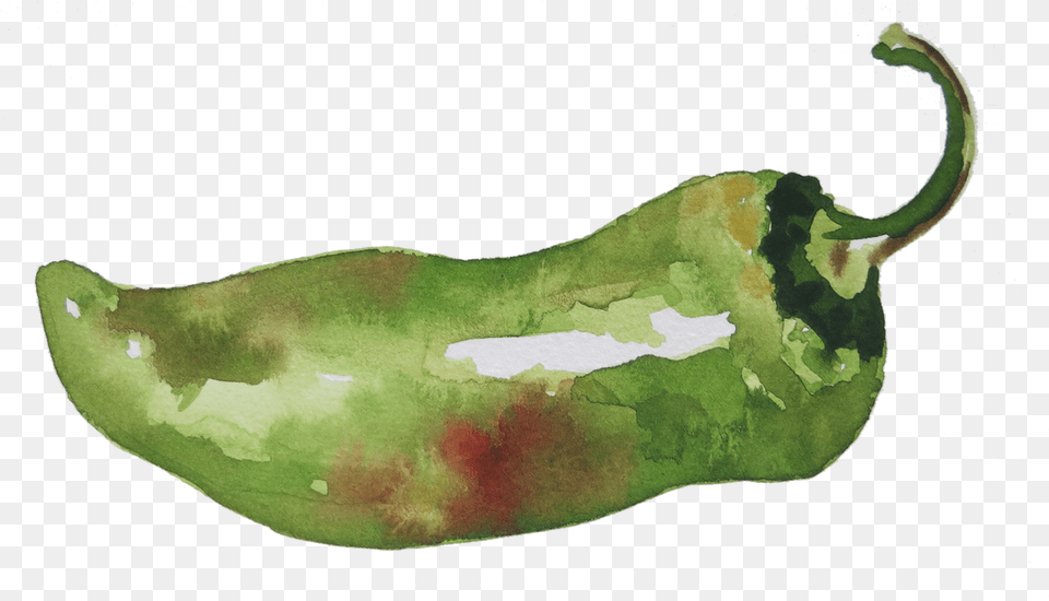 Watercolor By Charmaine Martinez Habanero Chili, Food, Produce, Pepper, Plant Free Transparent Png