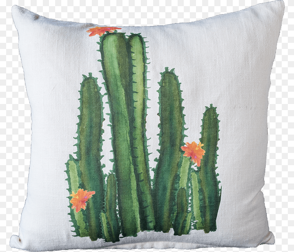 Watercolor Cactus, Cushion, Home Decor, Pillow, Plant Free Png