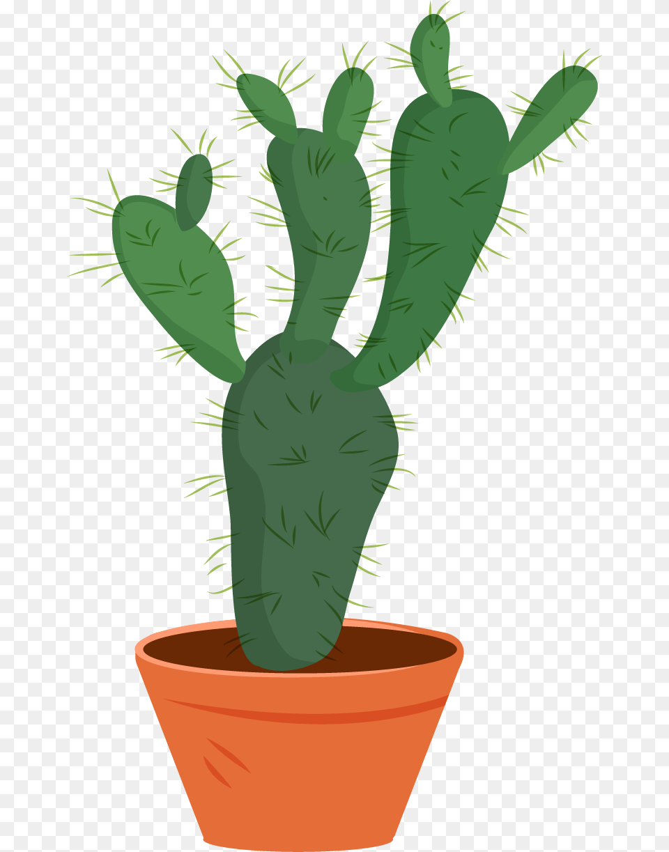 Watercolor Cactus, Plant Png