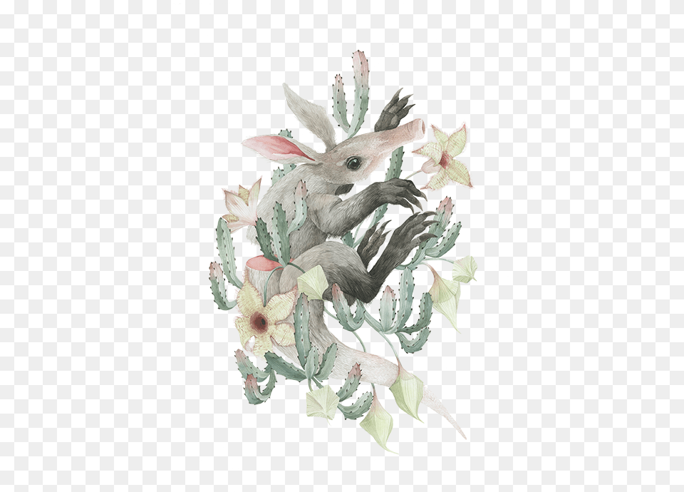 Watercolor Cactus, Animal, Wildlife, Mammal, Bird Png Image