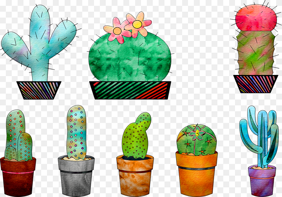 Watercolor Cactus Cactus Cacti Plant Green Png Image