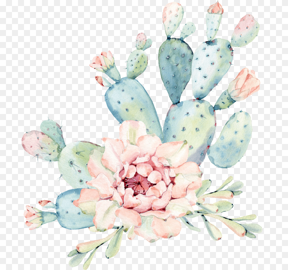 Watercolor Cactus Flower, Plant, Petal, Flower Arrangement, Flower Bouquet Free Png Download