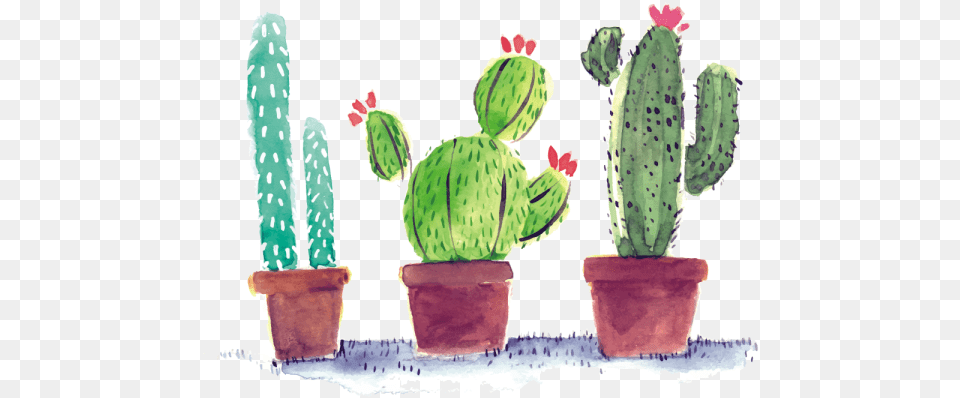 Watercolor Cactus In Pots, Plant Free Png