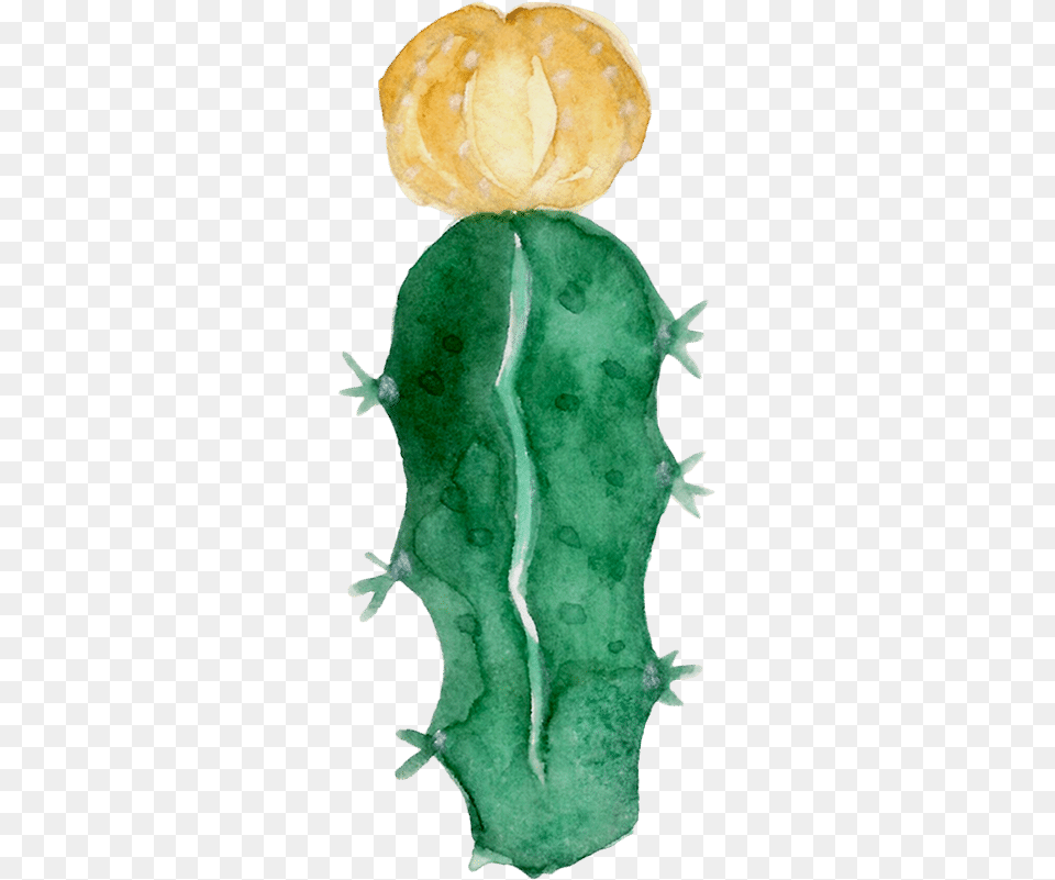 Watercolor Cactus Shape Eastern Prickly Pear, Accessories, Gemstone, Jewelry, Baby Png Image