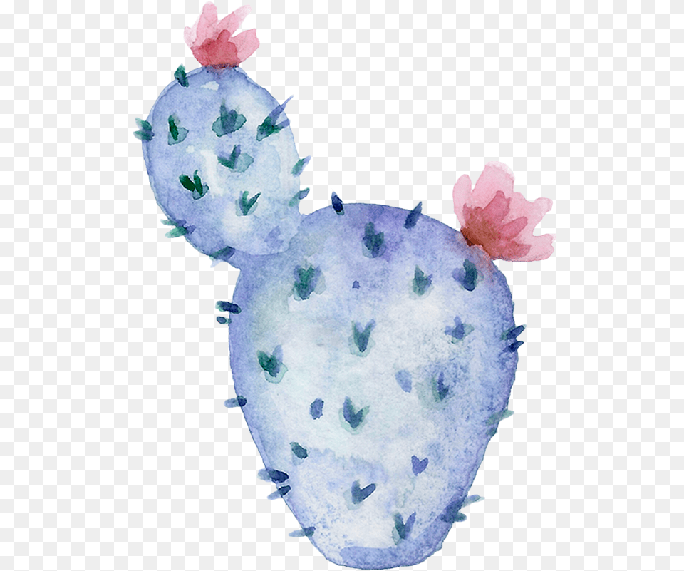 Watercolor Cactus Shape Photos By Canva Stuffed Toy, Flower, Plant, Petal, Mineral Png