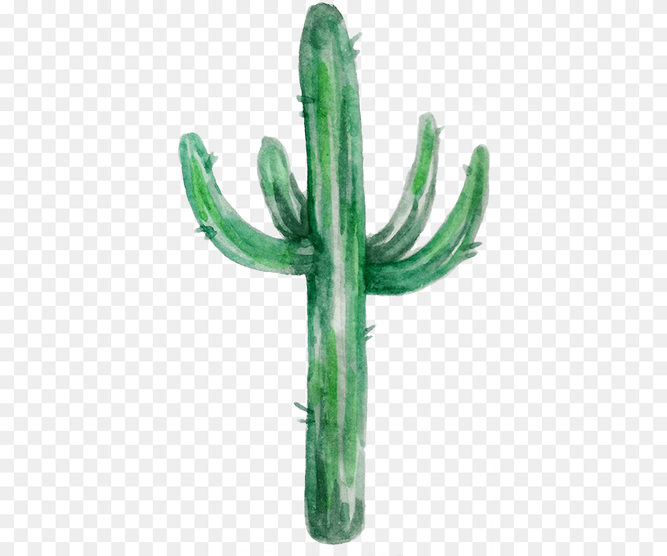 Watercolor Cactus Shape San Pedro Cactus, Plant, Cross, Symbol Free Png Download