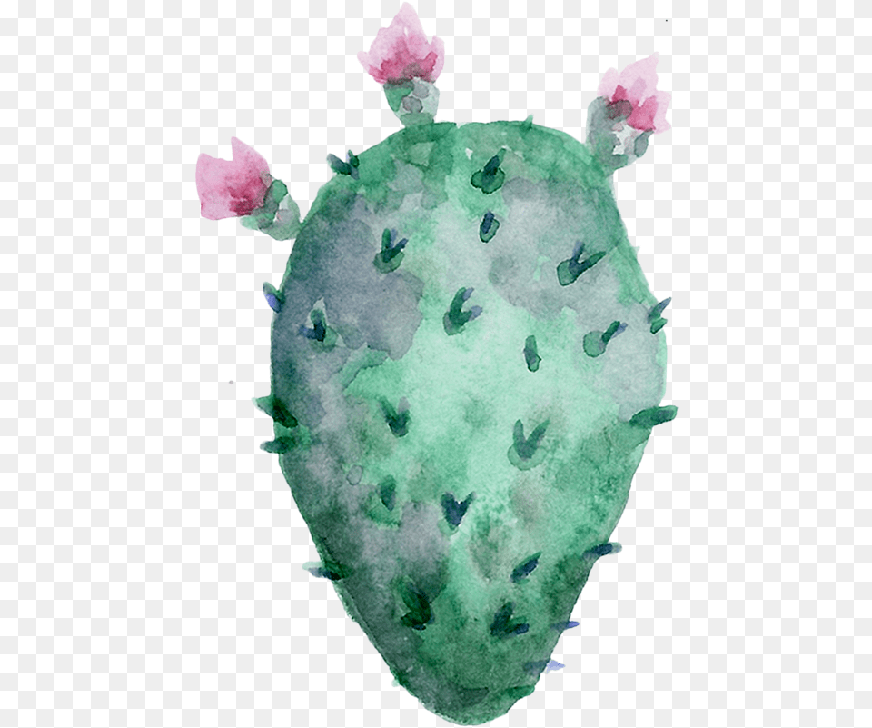Watercolor Cactus Shape Stuffed Toy, Mineral, Quartz, Crystal, Jewelry Free Png