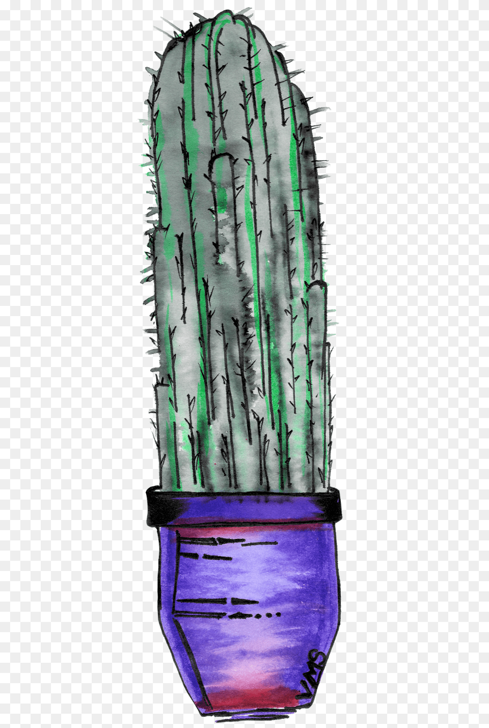 Watercolor Cactus Simply Whimsical Art San Pedro Cactus, Plant, Potted Plant Png Image