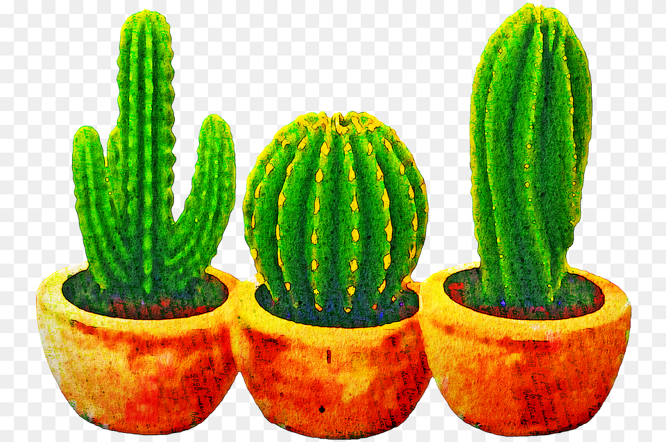 Watercolor Cactus Succulents Cacti Image On Pixabay Gambar Pohon Kaktus Animasi, Plant Free Png