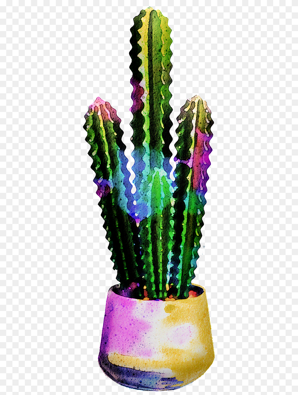 Watercolor Cactus Succulents Cacti Image On Pixabay Potted Cactus, Plant Free Png