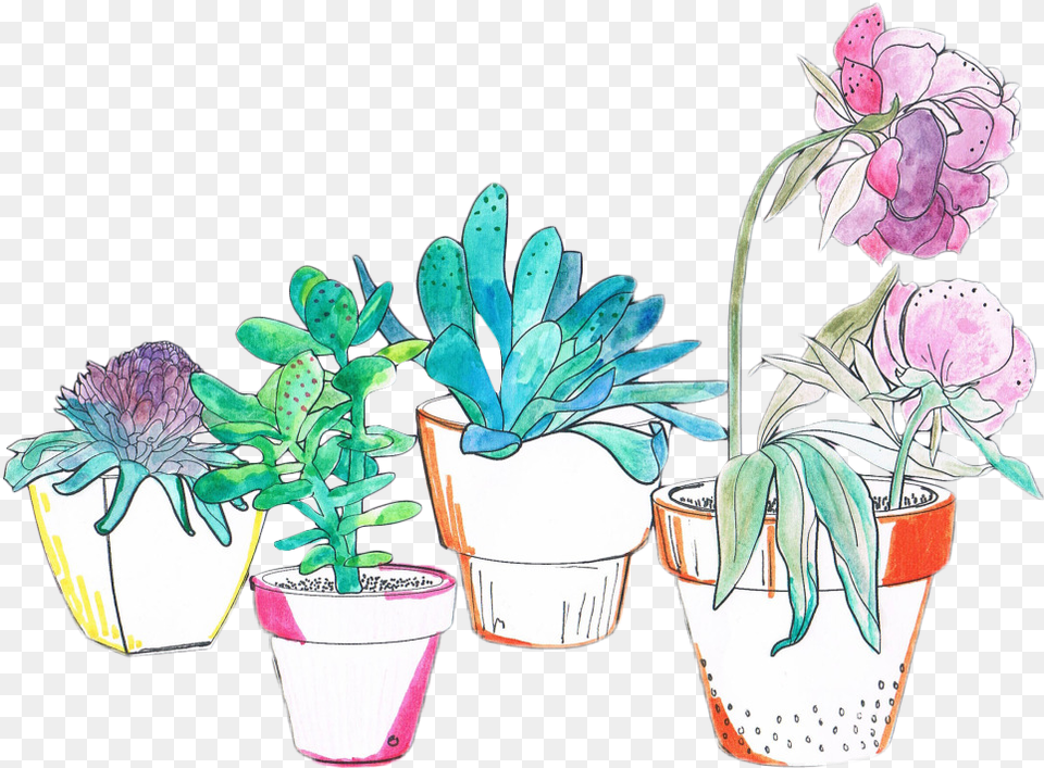 Watercolor Cactus Transparent Transparent Aesthetic Plants, Plant, Potted Plant, Art, Flower Png Image