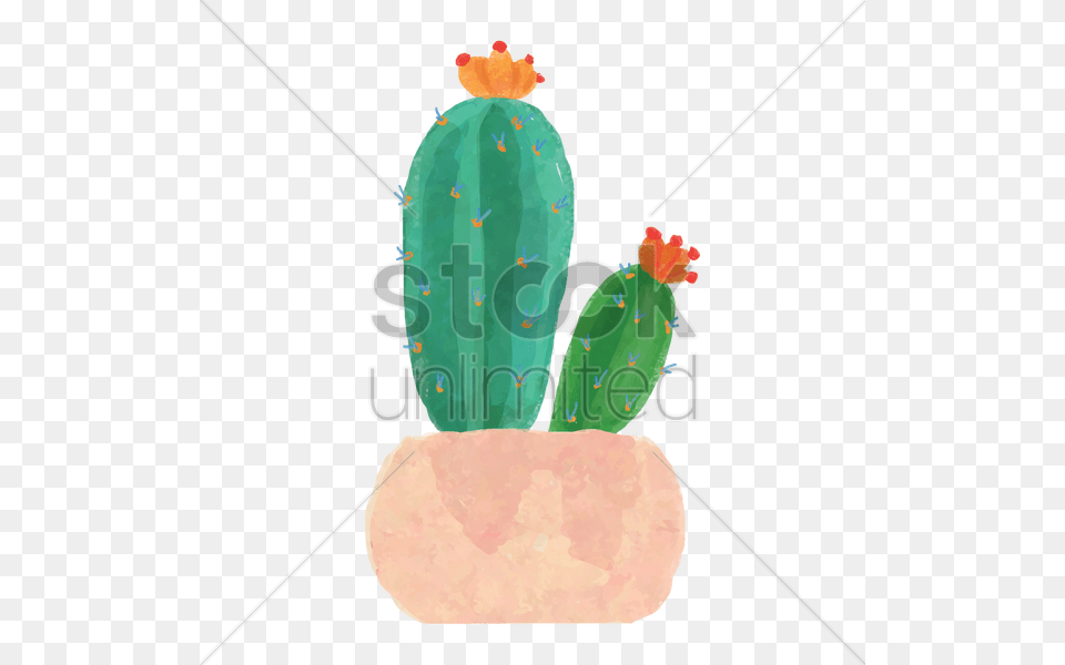 Watercolor Cactus Vector, Plant Free Transparent Png