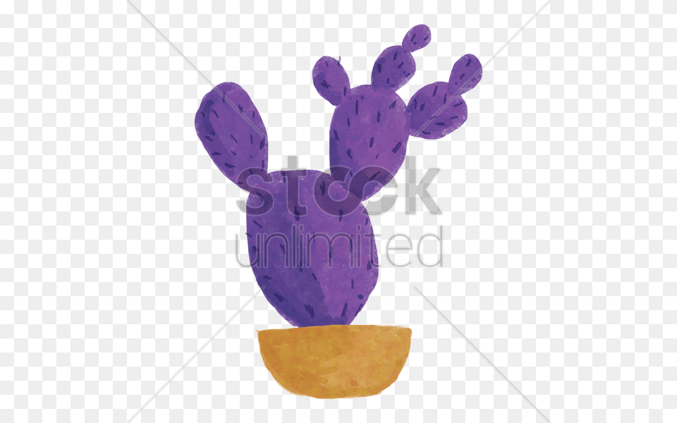 Watercolor Cactus Vector Flower, Plant, Lavender, Purple Png Image