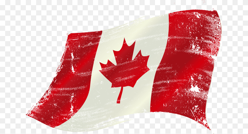 Watercolor Canadian Flag Vector Canada Flag, Leaf, Plant Png Image