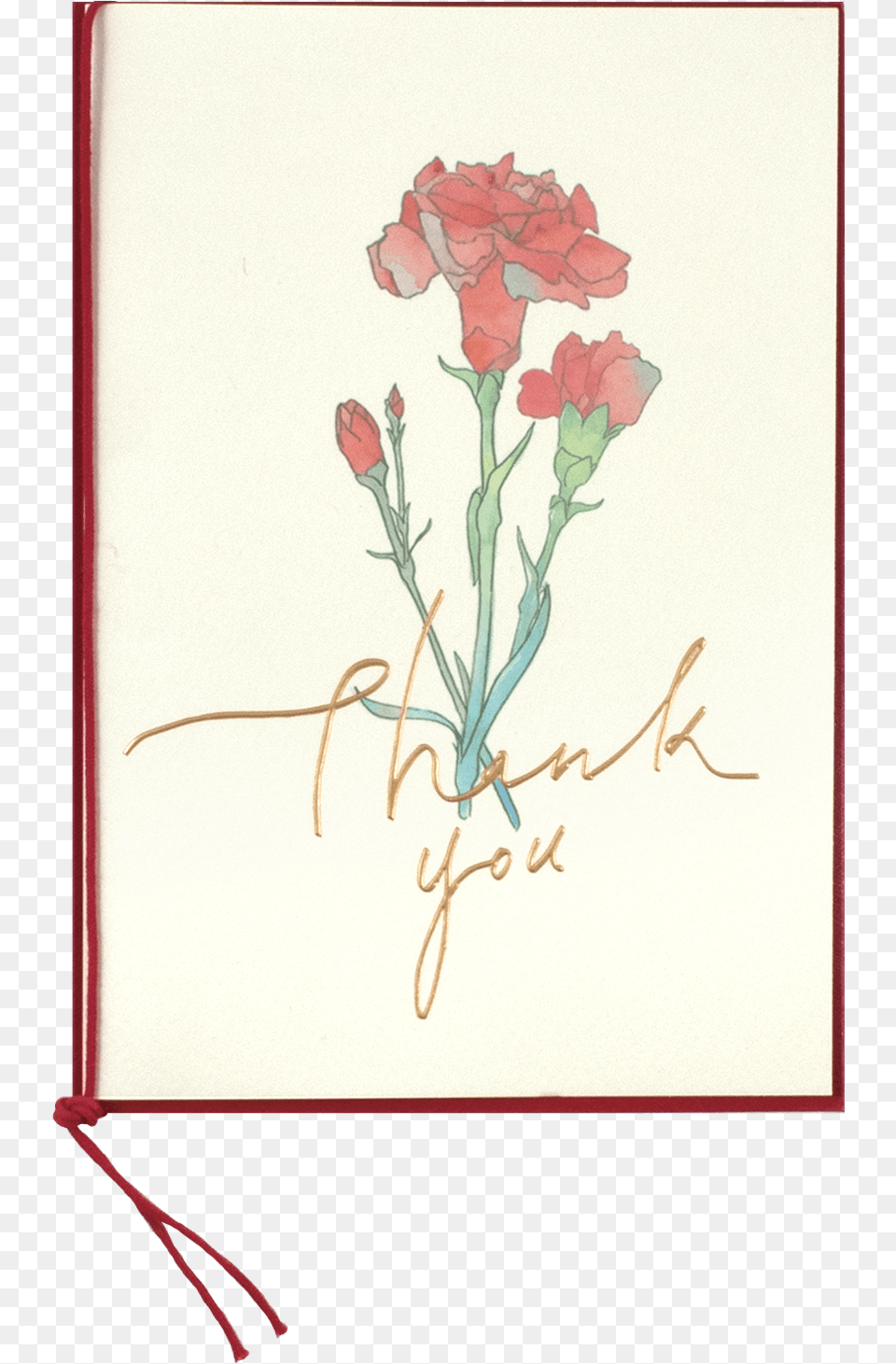 Watercolor Carnation Watercolor Painting, Envelope, Flower, Greeting Card, Mail Free Transparent Png
