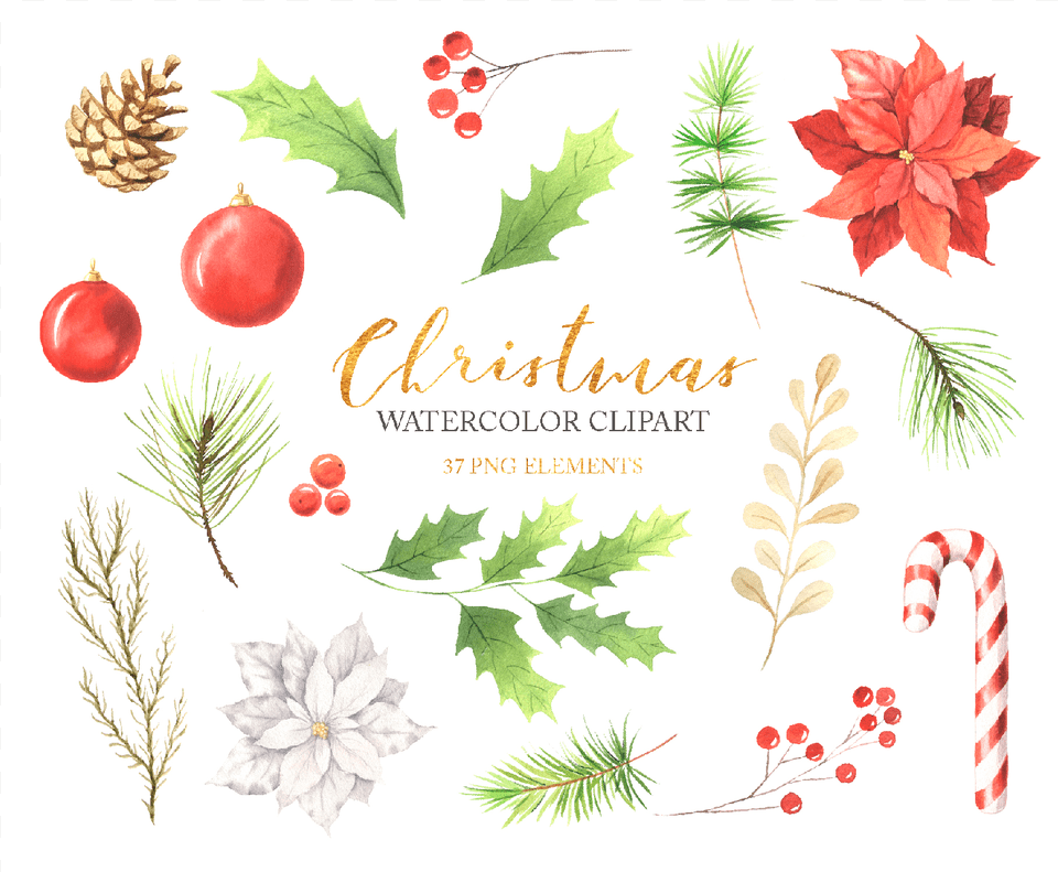 Watercolor Christmas Floral Clipart Example Image Christmas Card, Plant, Envelope, Mail, Leaf Png