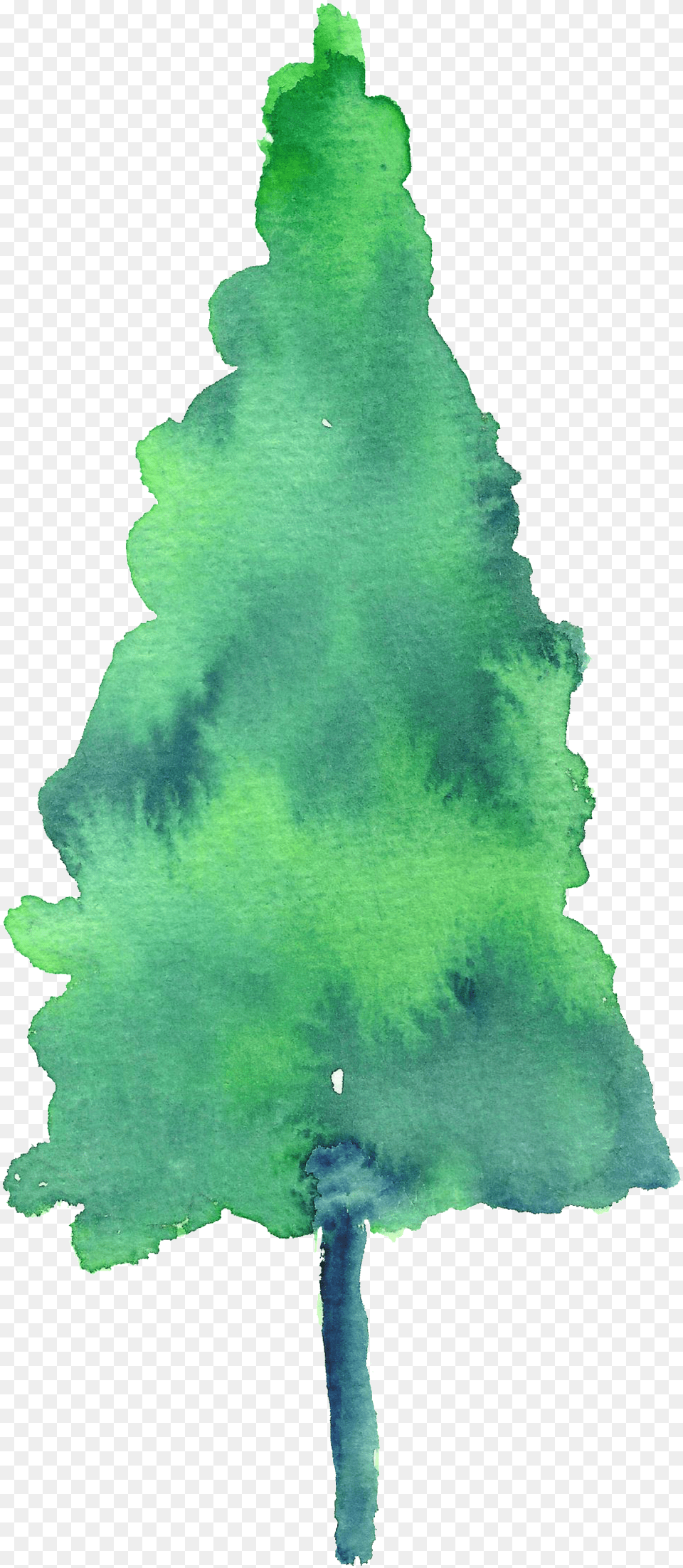 Watercolor Christmas Trees Transparent, Leaf, Plant, Tree, Weapon Png Image