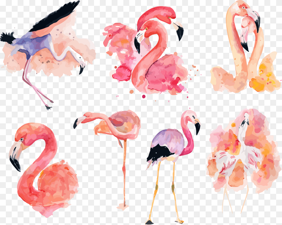 Watercolor Clipart Flamingo Pink Flamingo Flamingo Clipart, Animal, Bird, Baby, Person Png Image