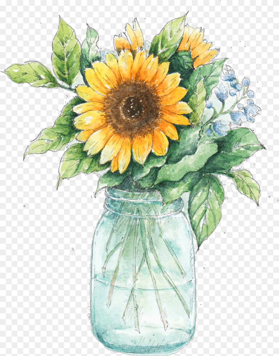 Watercolor Clipart Free 50 Photos Vase Of Sunflowers, Flower, Flower Arrangement, Jar, Plant Png