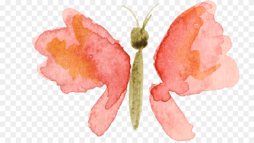 Watercolor Clipart Picture Watercolor Butterfly, Flower, Petal, Plant, Rose Free Png Download