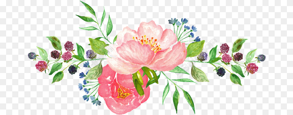 Watercolor Clipart Transparent Watercolor Transparent Flowers, Flower, Pattern, Plant, Art Free Png