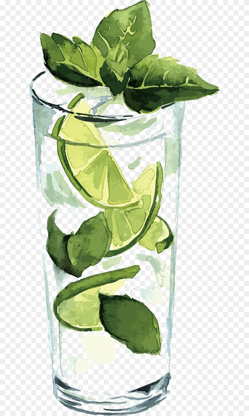Watercolor Cocktail, Alcohol, Plant, Mojito, Lime Png