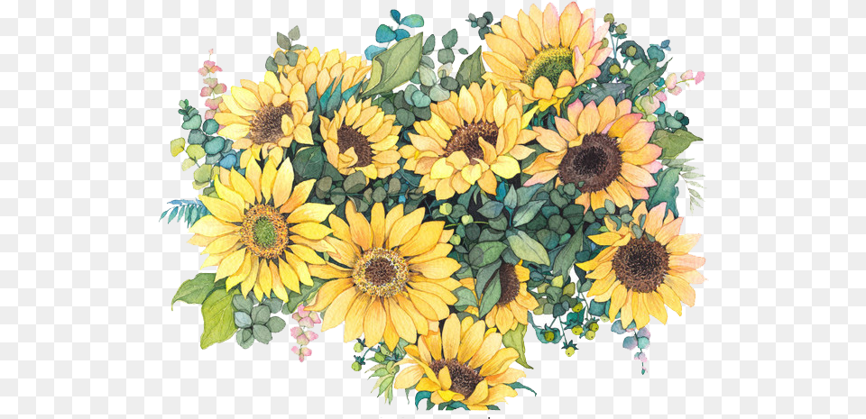 Watercolor Common Flowers Painting Sunflower Water Color, Flower, Plant, Flower Arrangement, Flower Bouquet Free Transparent Png