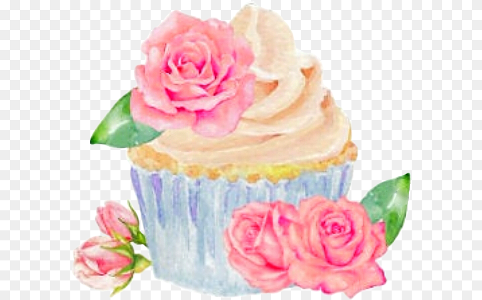 Watercolor Cupcake Roses Leaves Sticker By Stephanie Cupcake With Flowers Watercolor, Cake, Cream, Dessert, Flower Png