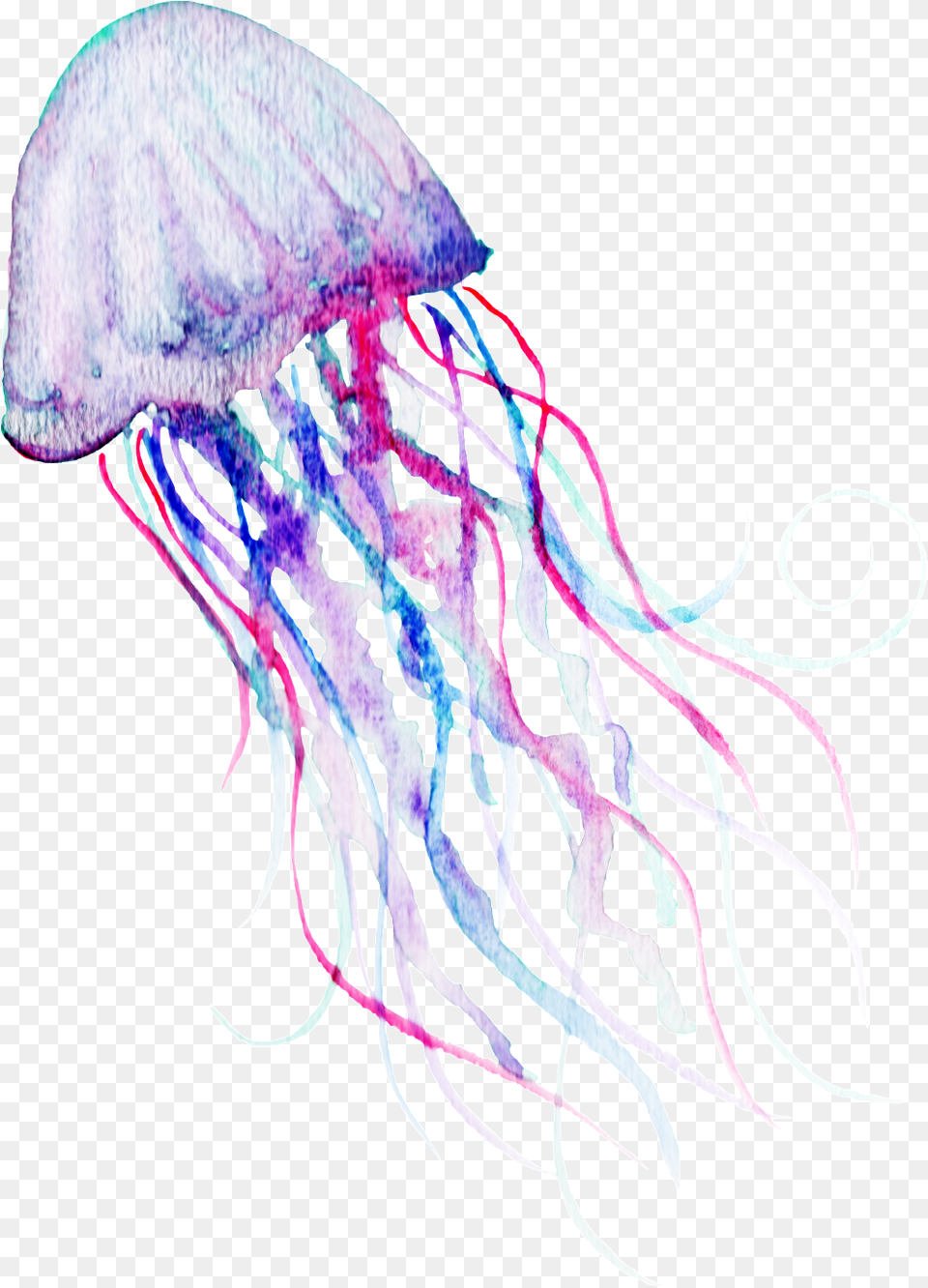 Watercolor Deep Sea Jelly Transparent, Animal, Sea Life, Invertebrate, Jellyfish Free Png