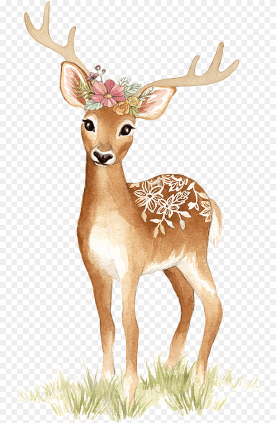 Watercolor Deer Doe Fawn Tattoo Floral Flowers, Animal, Mammal, Wildlife, Elk Free Png