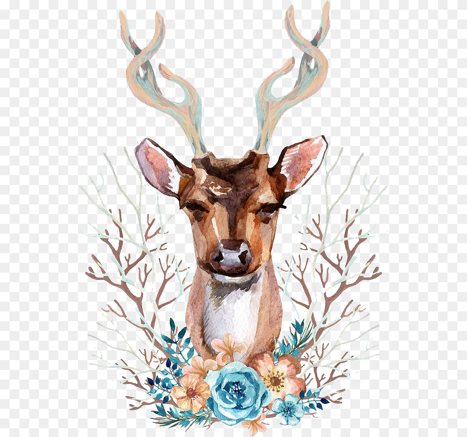 Watercolor Deer Head, Animal, Antler, Mammal, Wildlife Free Png