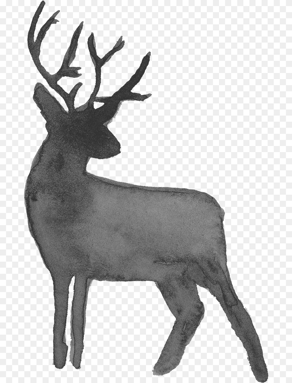 Watercolor Deer Silhouette Onlygfxcom Background Deer Silhouette, Animal, Mammal, Wildlife, Elk Png