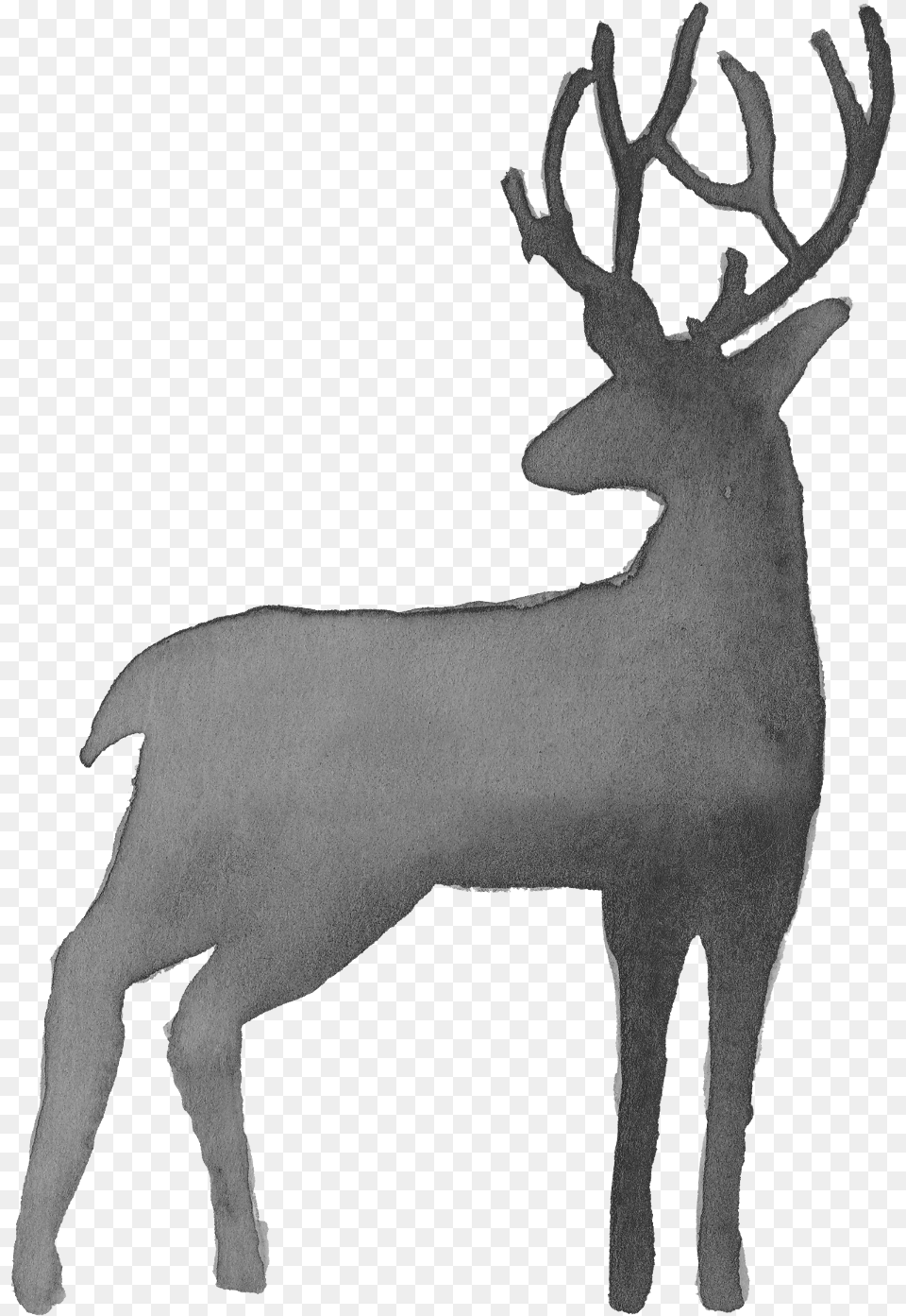 Watercolor Deer Silhouette Transparent Onlygfxcom Deer Watercolor Transparent Background, Animal, Mammal, Wildlife, Elk Png Image
