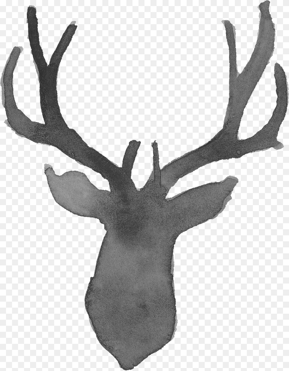 Watercolor Deer Silhouette Transparent Onlygfxcom Reindeer, Antler, Animal, Mammal, Wildlife Free Png Download