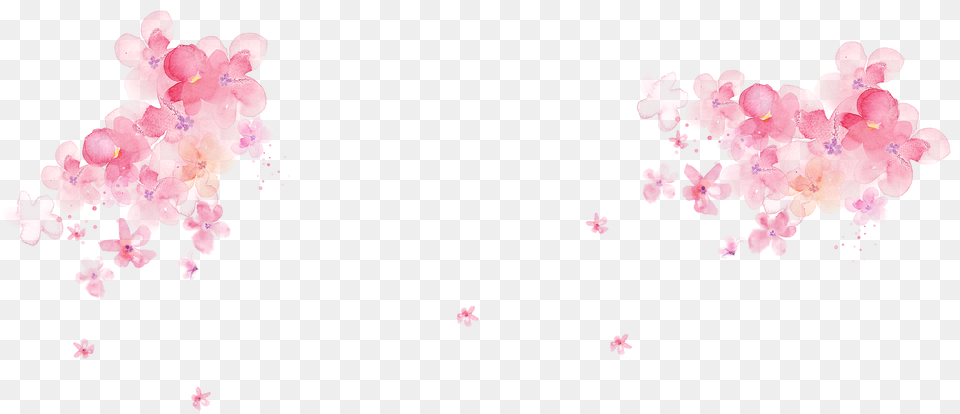 Watercolor Desktop At Getdrawings Transparent Pink Watercolor Flower, Petal, Plant, Cherry Blossom Free Png